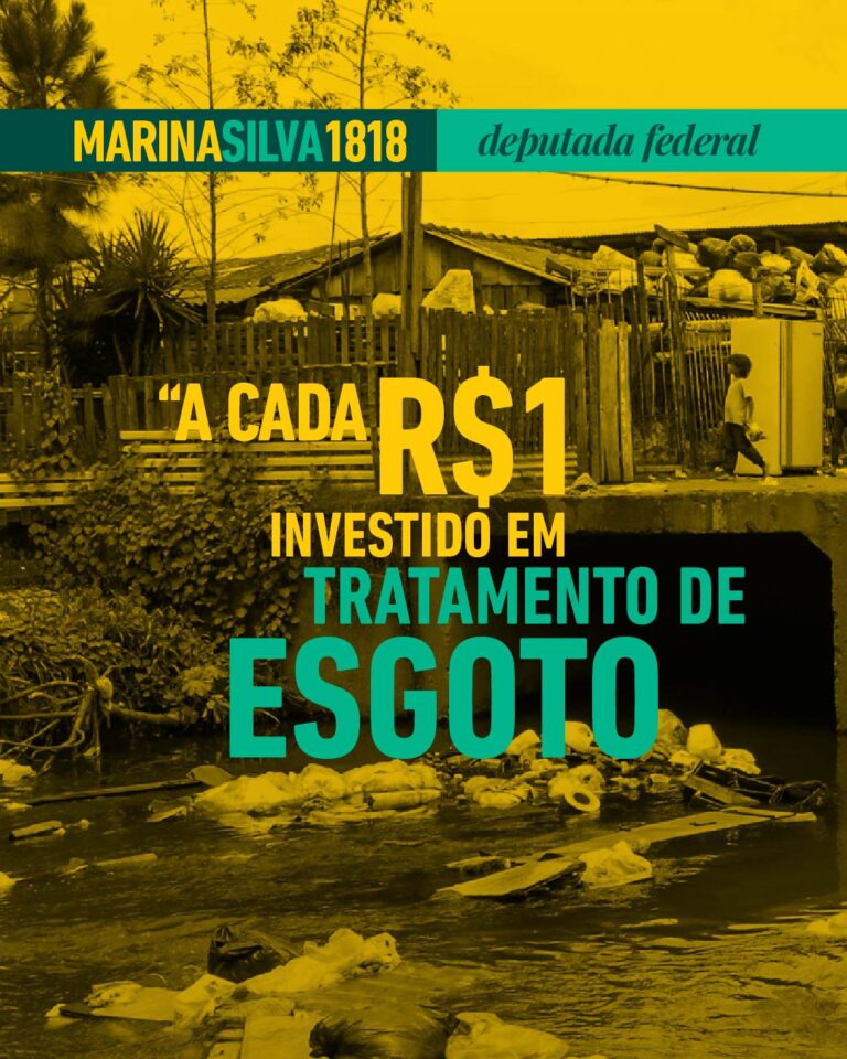 Vote Marina Silva