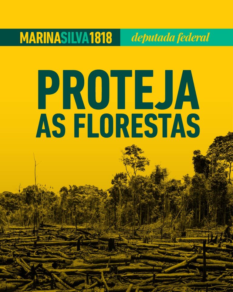 Proteja as florestas